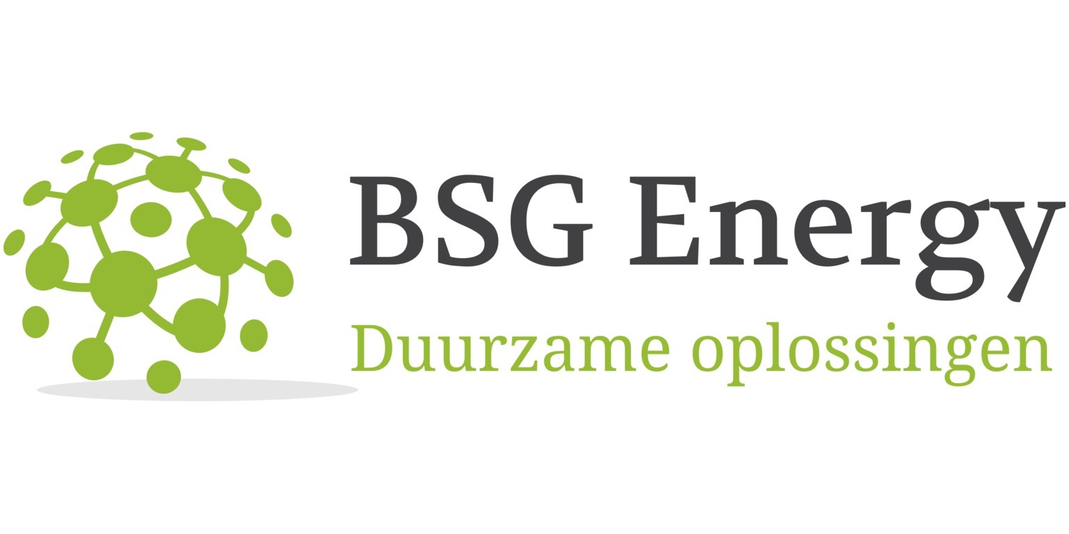 BSG-Energy logo